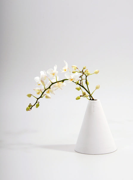Cone Shaped Vase, June Eleven - Northernism