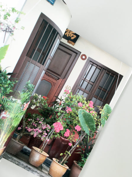 Destination Singapour, Caroline Gomez - Northernism